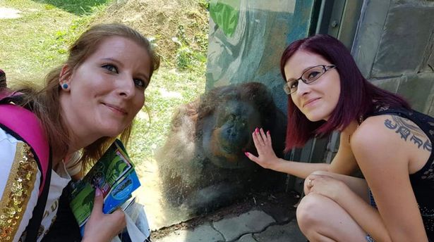 Eliza Huszti with the third triple, Edit