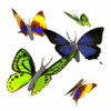 avatar-blog-1236628405-tmpphpnU7njM.gif