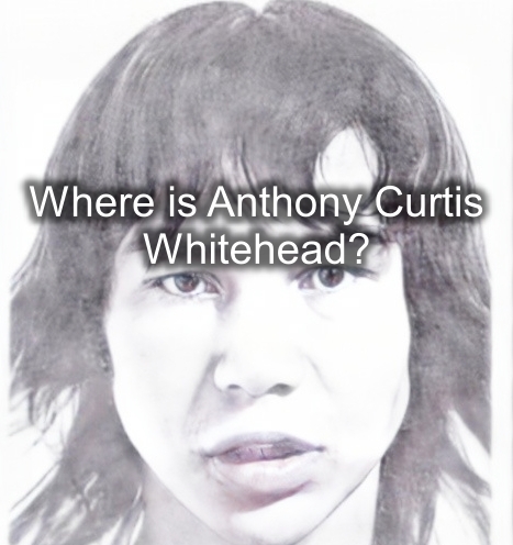 someonesawsomething.ca