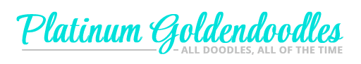 www.platinumgoldendoodles.com
