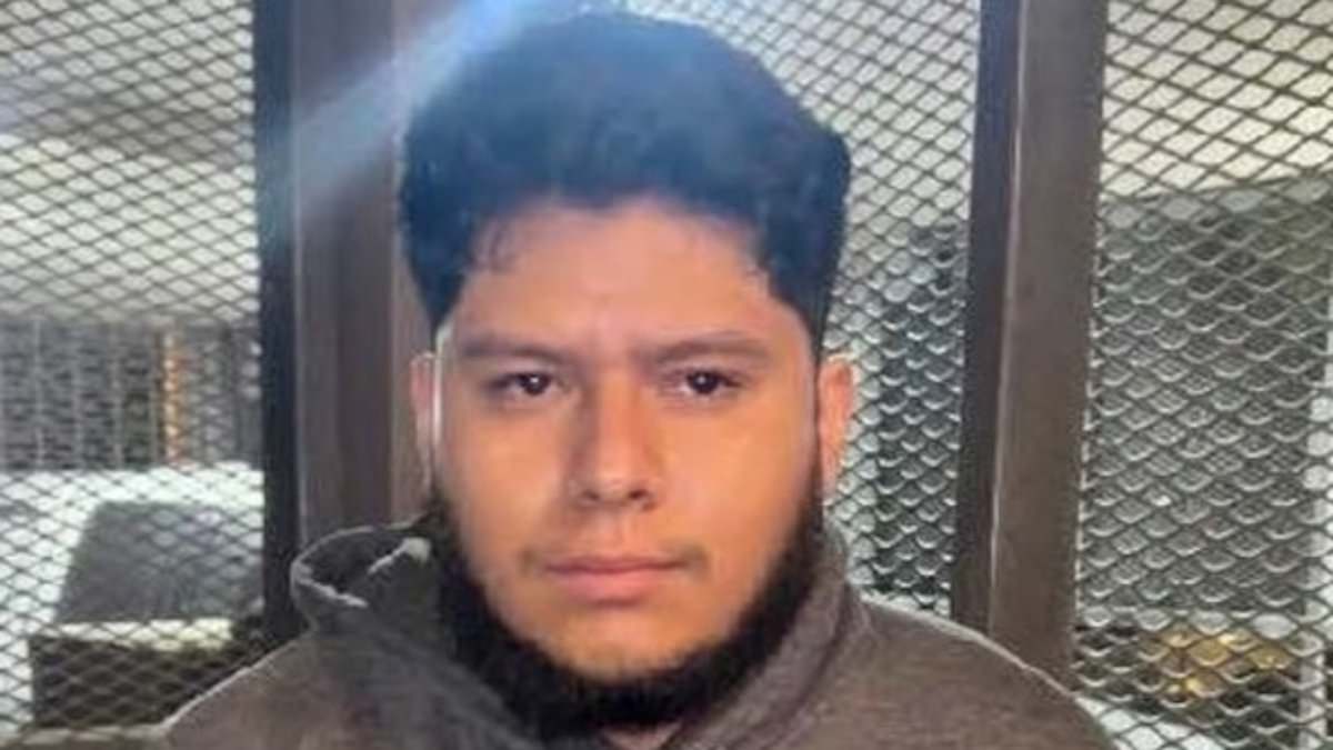 www-dailymail-co-uk.cdn.ampproject.org