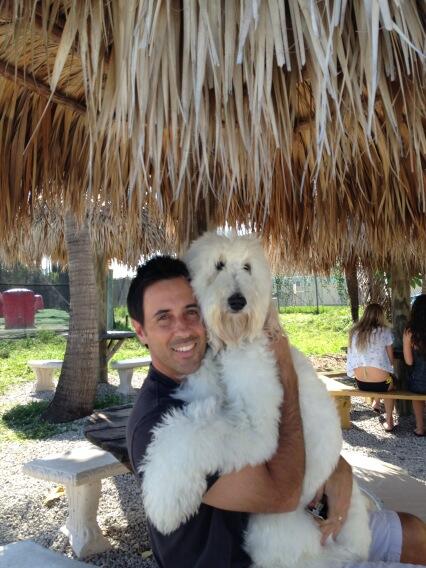 BJh1s_qCMAAQl0i.jpg:large