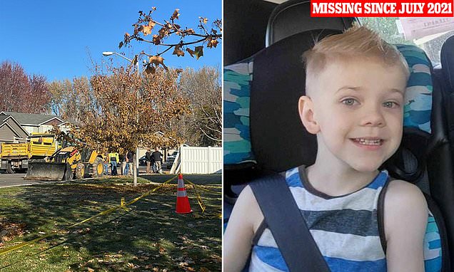 www-dailymail-co-uk.cdn.ampproject.org