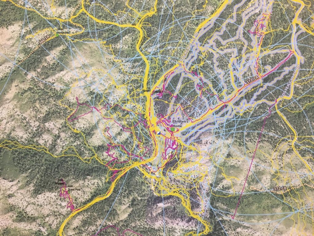 5c5e2a915035b-image-jpg.180170