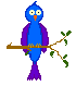 sheripetbird2.gif