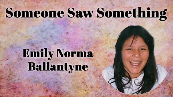 someonesawsomething.ca