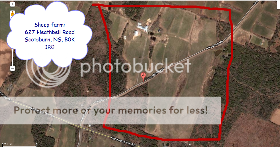 SheepfarmHeathbellRoad.png