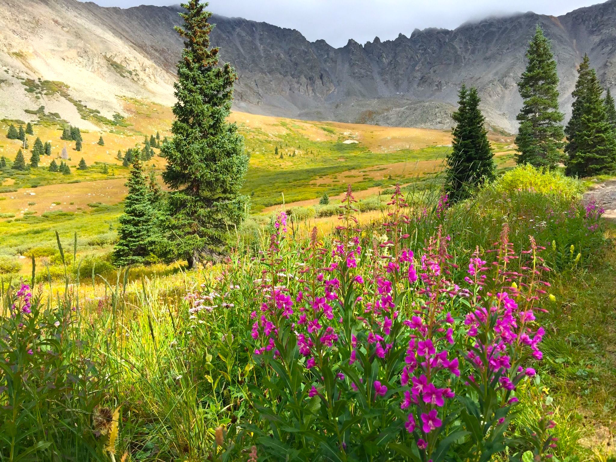 mayflower-gulch-all-trails-2.jpg