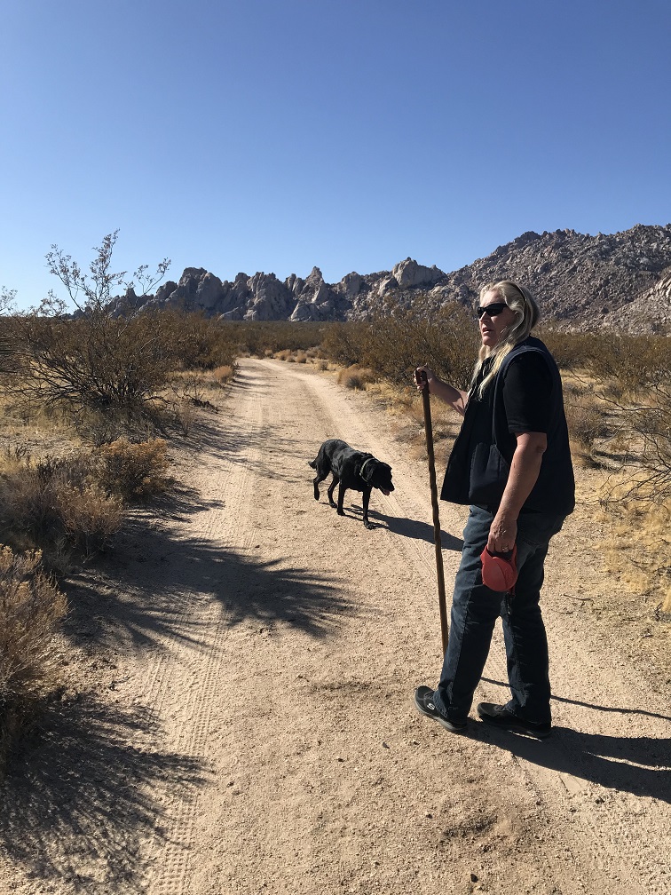 hiddenhill3-jpg.216197