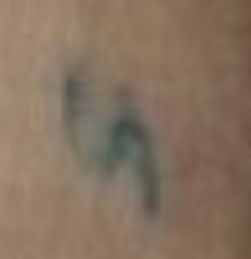 upload_2021-11-12_15-42-37-png.321558