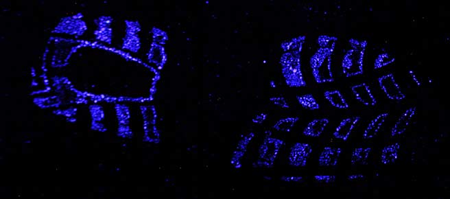 luminol_shoeprint.jpg