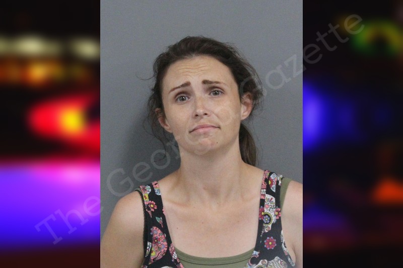 thegeorgiagazette.com