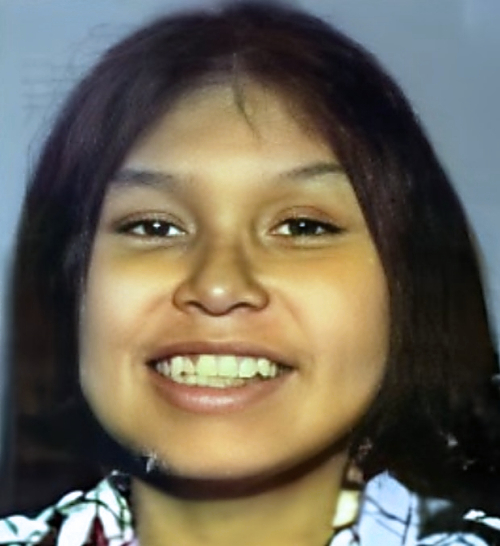 someonesawsomething.ca