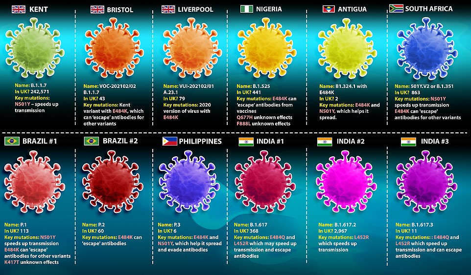 43182499-9599377-image-a-6_1621500837662.jpg