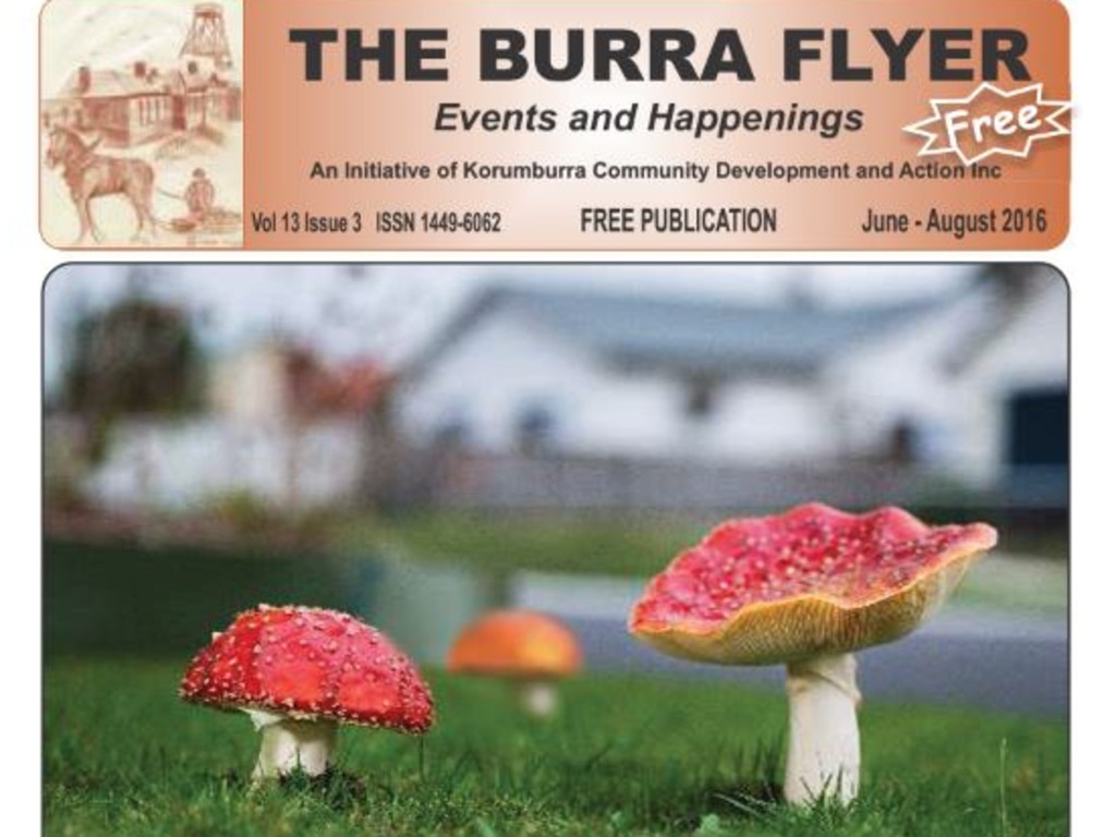 This photo, taken by Simon Patterson, was on the front page of the newsletter, which was previously edited by his parents and ex wife. Picture: The Burra Flyer