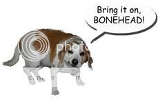 scared-of-bone.jpg