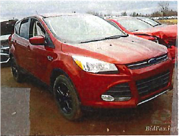 user57646-1614018607-media2