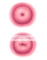Parous_and_nonparous_cervix_zpsc9d3fbef.jpg