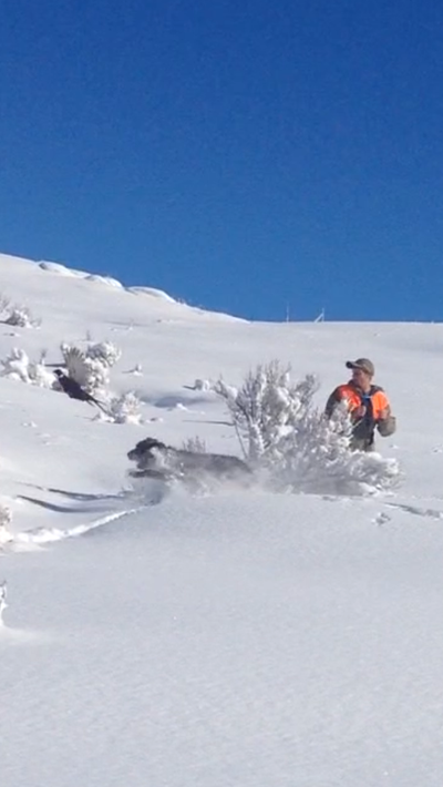 www.castlerockuplandsporting.com