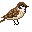animated-bird-image-0474.gif