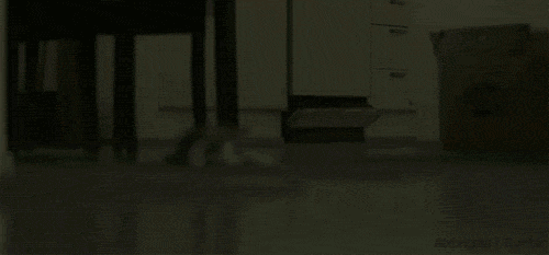 tumblr_m6oot17bhh1qfvx4yo1_500.gif