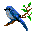 h35002.gif