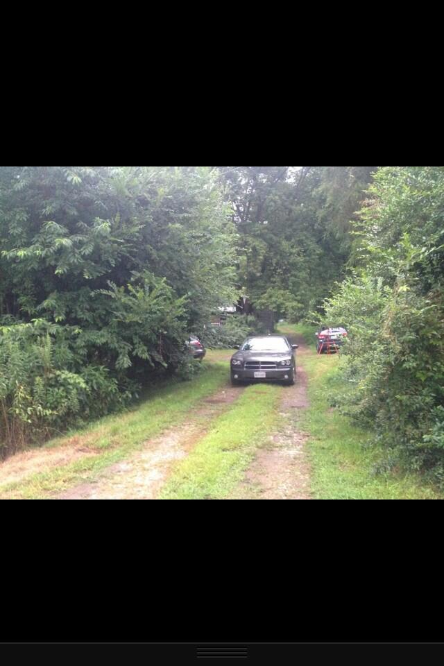 BRbSXlvCIAAVBnU.jpg:large