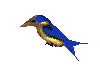 3d_bird.gif