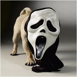 scary-dog-costumes2.jpg