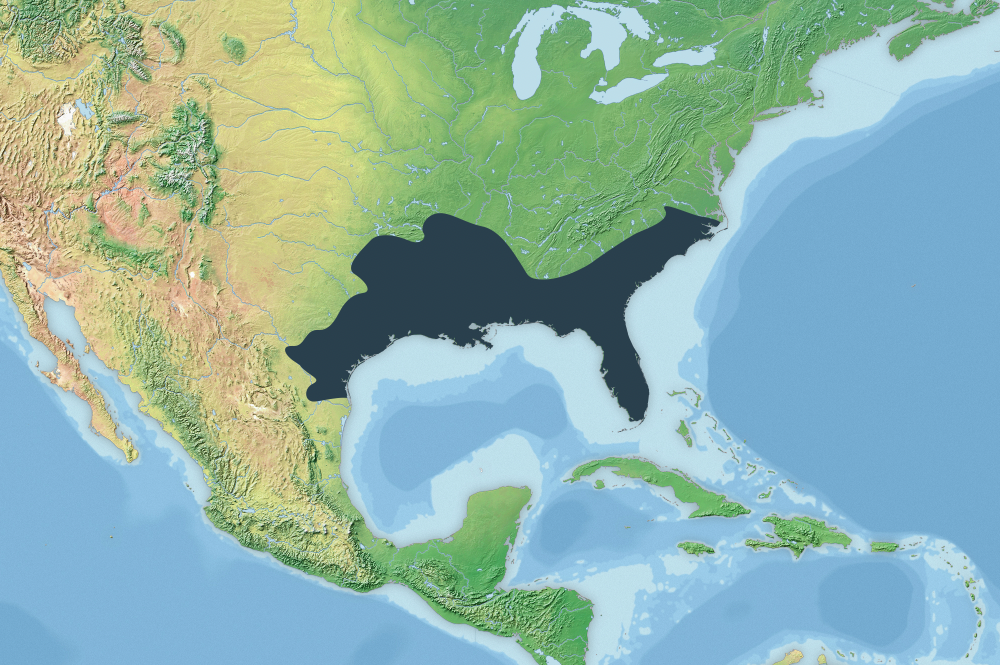 The_range_of_the_American_Alligator.png