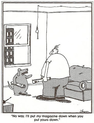dog_newspaper.jpg