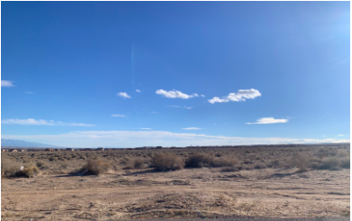 newmexiconewsport.com