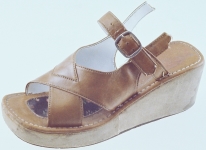 shoe