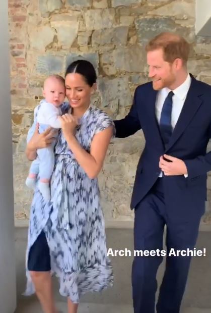 archie.jpg