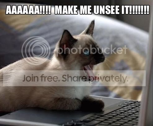 lol-cats_Make-Me-Unsee-It.jpg
