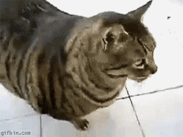tumblr_inline_mk3ptjQyuT1qz4rgp.gif
