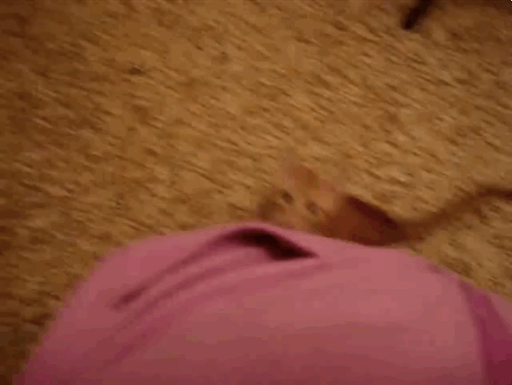 leghug.gif