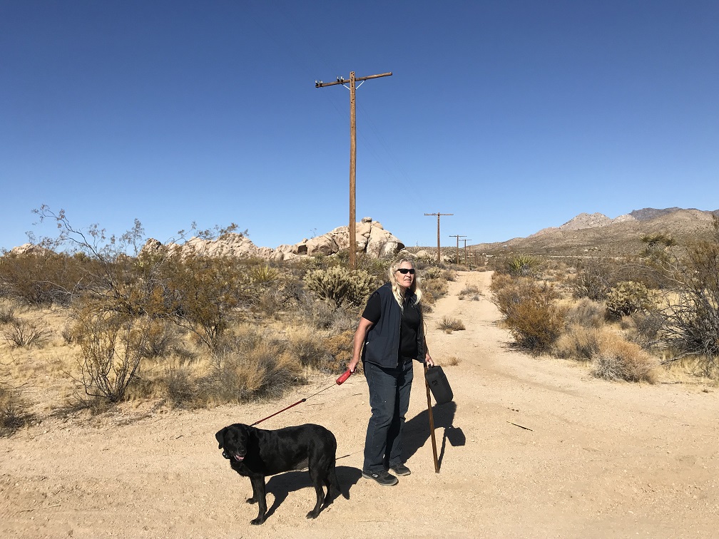 teleroad1-jpg.216211