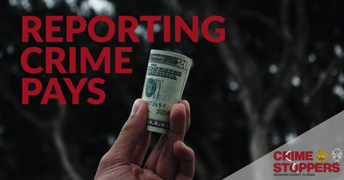 browardcrimestoppers.org