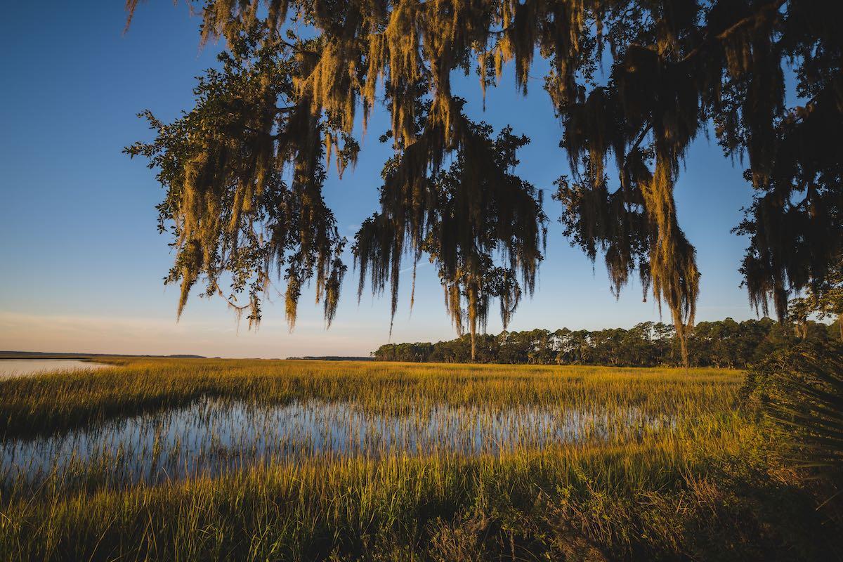 www.palmettobluff.com