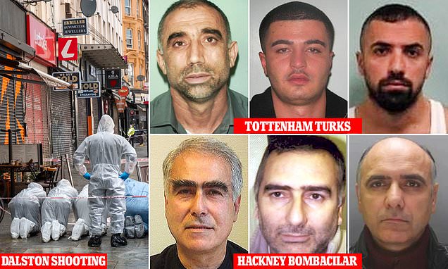 www.dailymail.co.uk