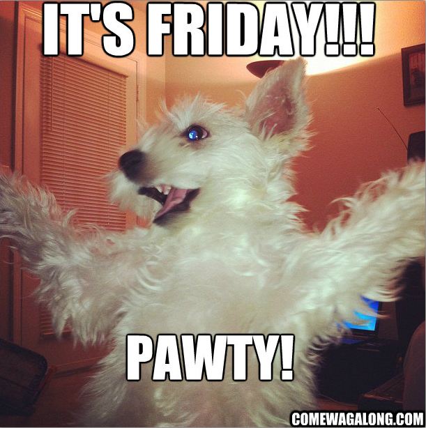 TGIF.jpg