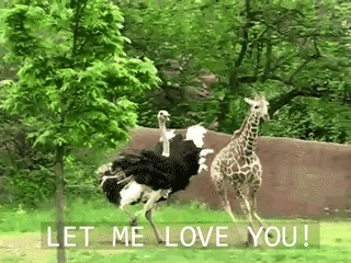 tumblr_m34uledifB1rn0y7so1_400.gif