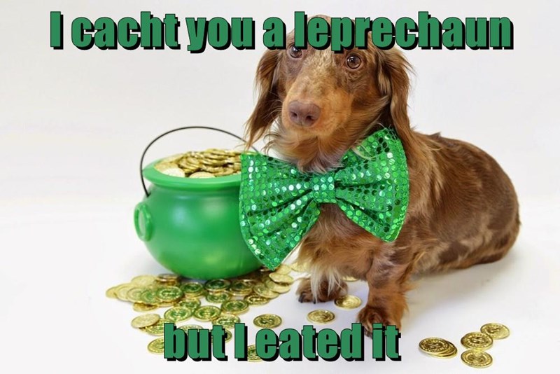 i-cacht-you-a-leprechaun-but-i-eated-it