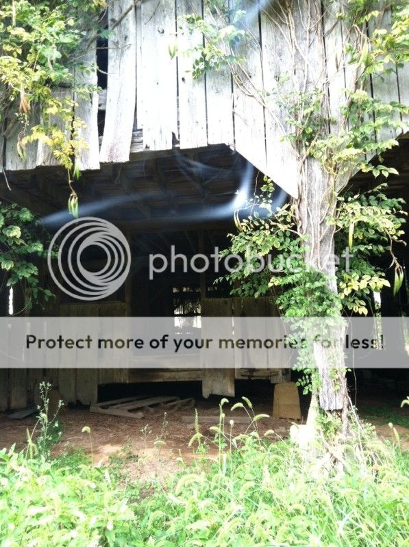 barnatbackofproperty.jpg