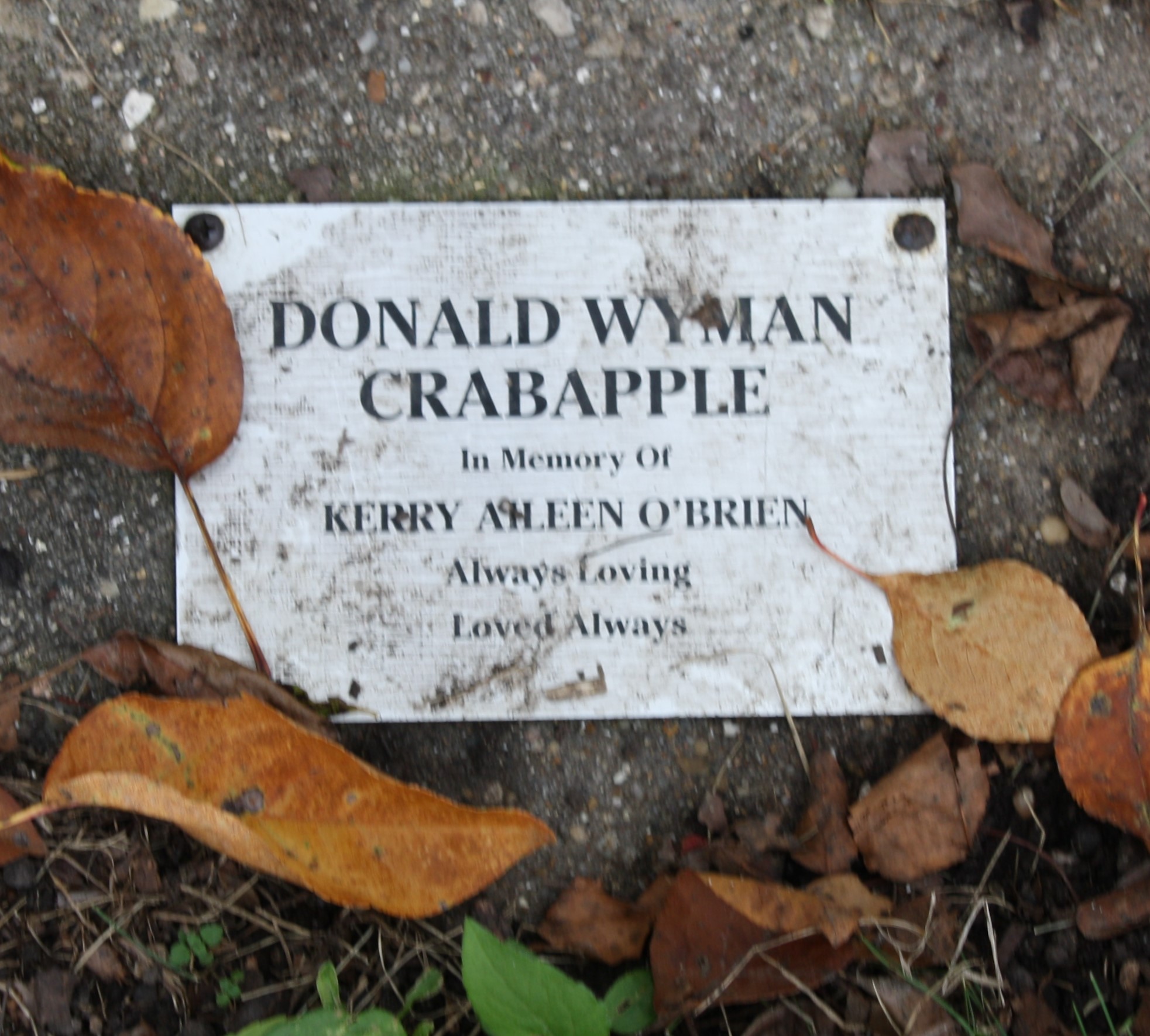 www.findagrave.com