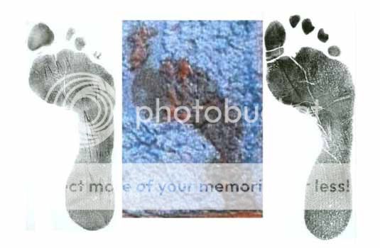 PerugiaFeet_zps67048ed7.jpg