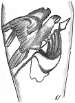 1570UMOK2.jpg