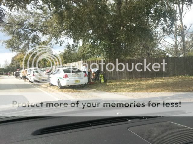 mpsearch.jpg