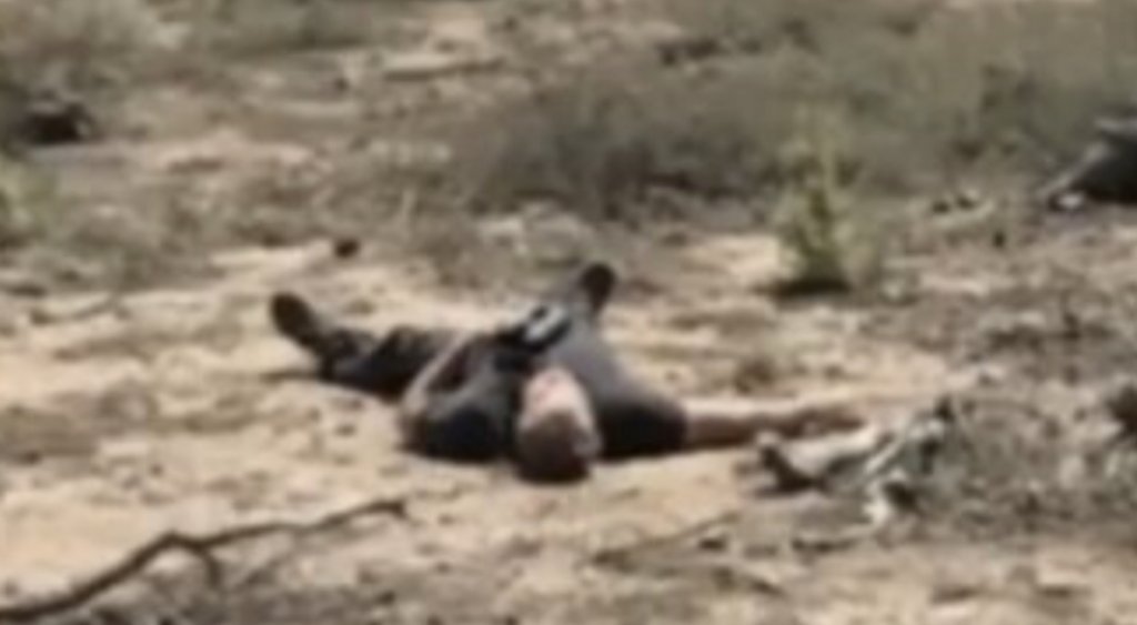 ed193422-4293-47be-b7aa-806e4231c115-jpeg.265554